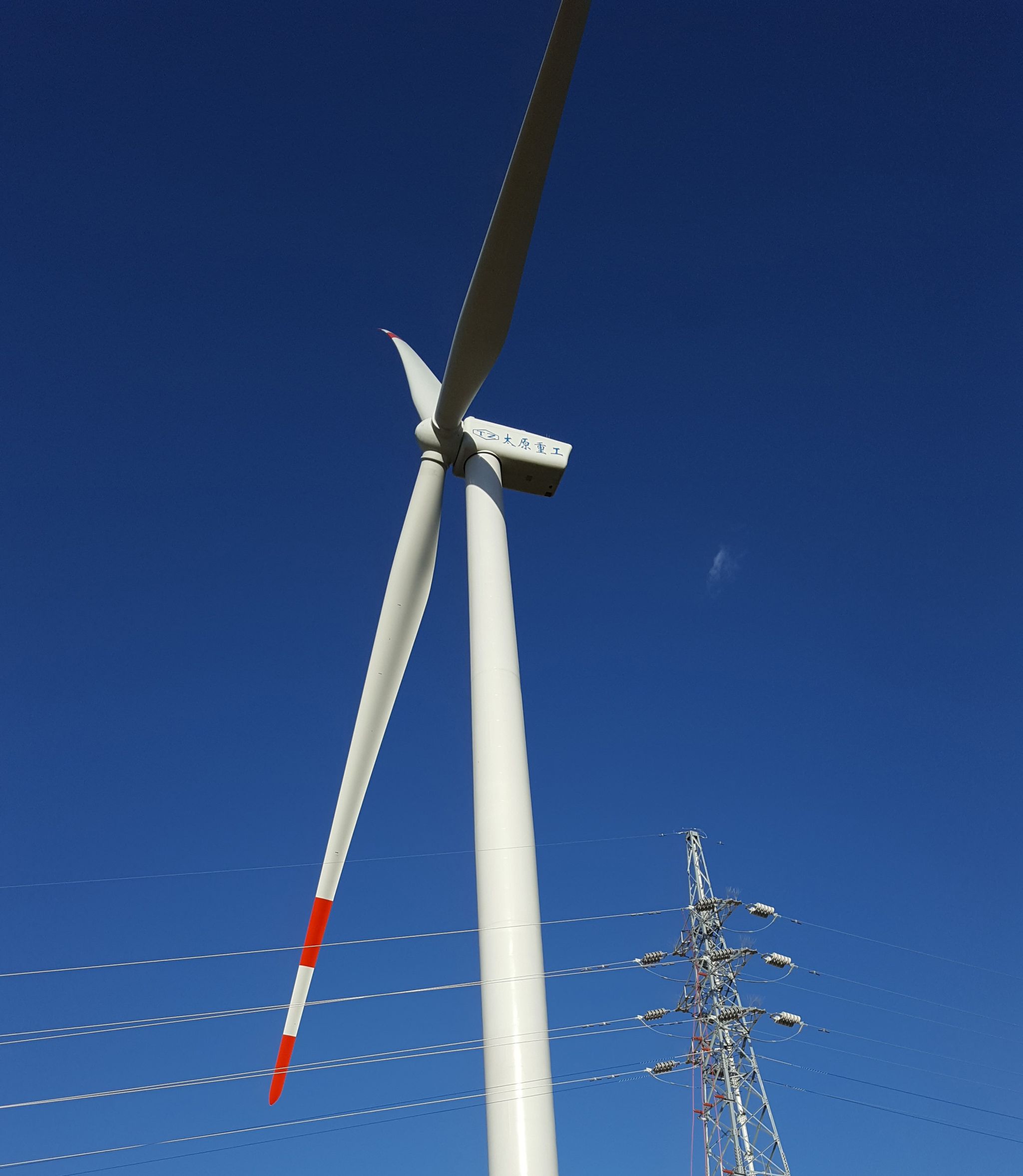 澳门十大信誉好的平台