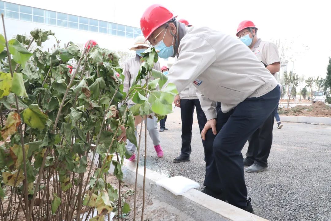 澳门十大信誉好的平台