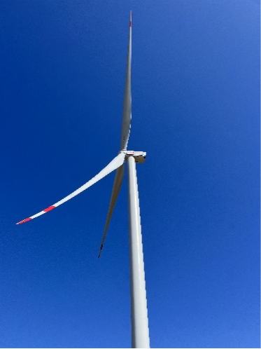 澳门十大信誉好的平台