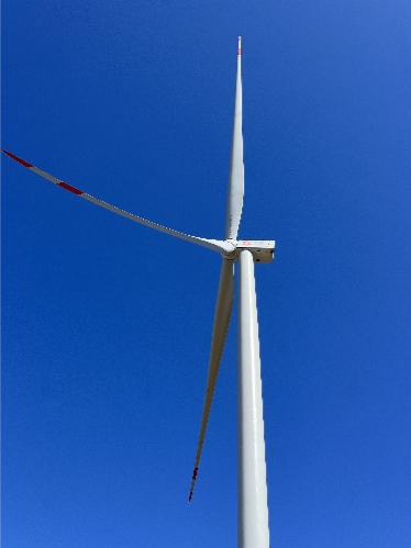 澳门十大信誉好的平台