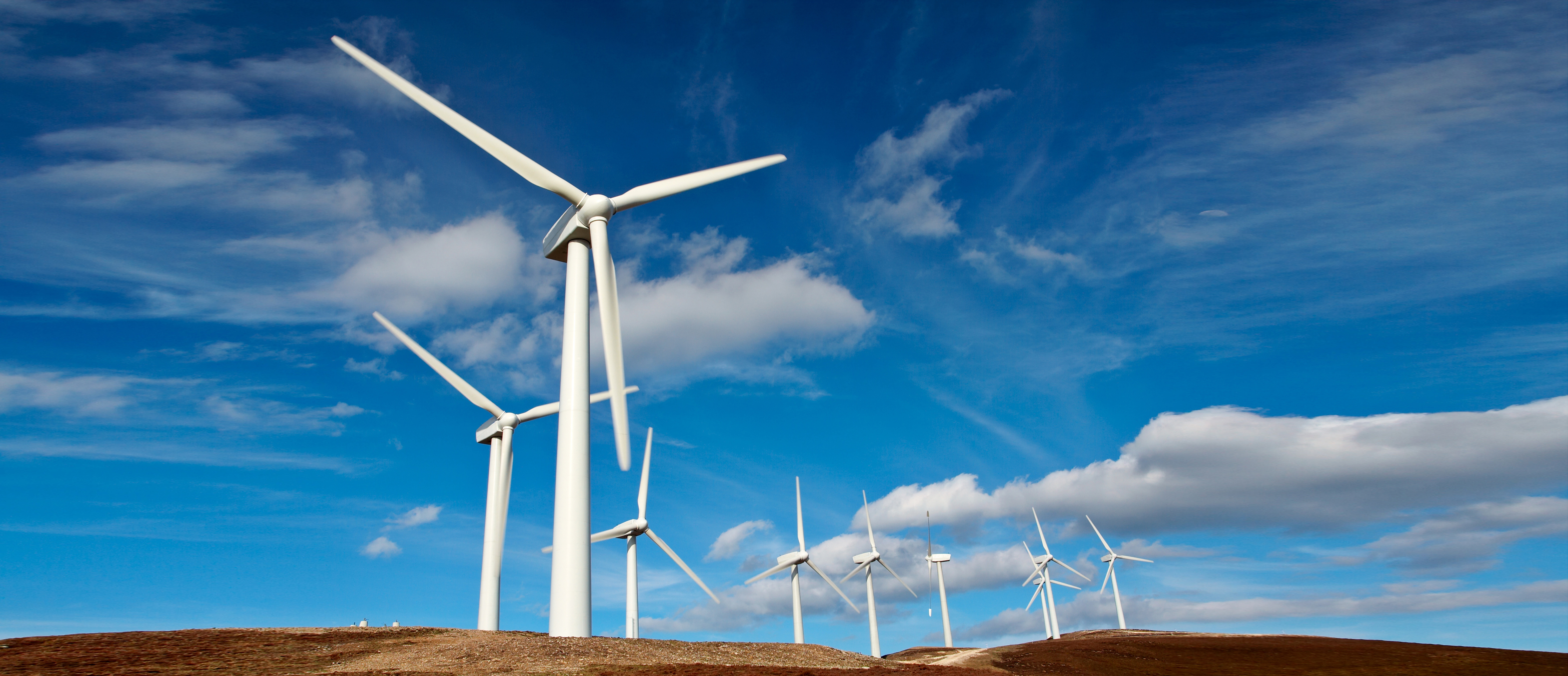 澳门十大信誉好的平台